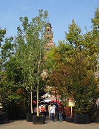 boscoincorso